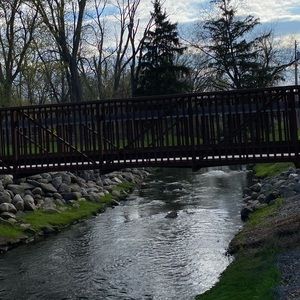 Meet your Posher, Carolyn